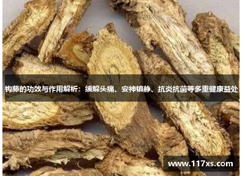 钩藤的功效与作用解析：缓解头痛、安神镇静、抗炎抗菌等多重健康益处